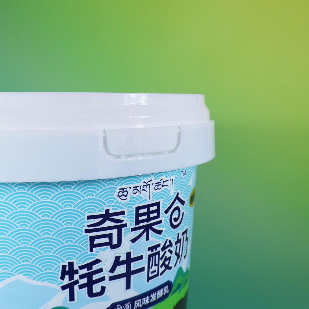 Custom Printed W037-C 2500ml Food Grade PP white cup with lid and handle